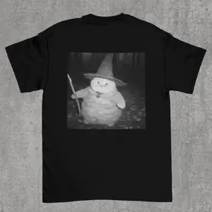 Fat Wizard Cat Shirt, Picture of fat cat wizard in the woods, funny cat meme shirt, tiktok meme shirt, Funny cat graphic tee, stupid shirts