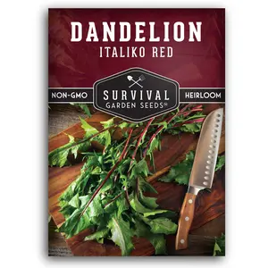 Italiko Red Dandelion Seeds for Planting in Garden