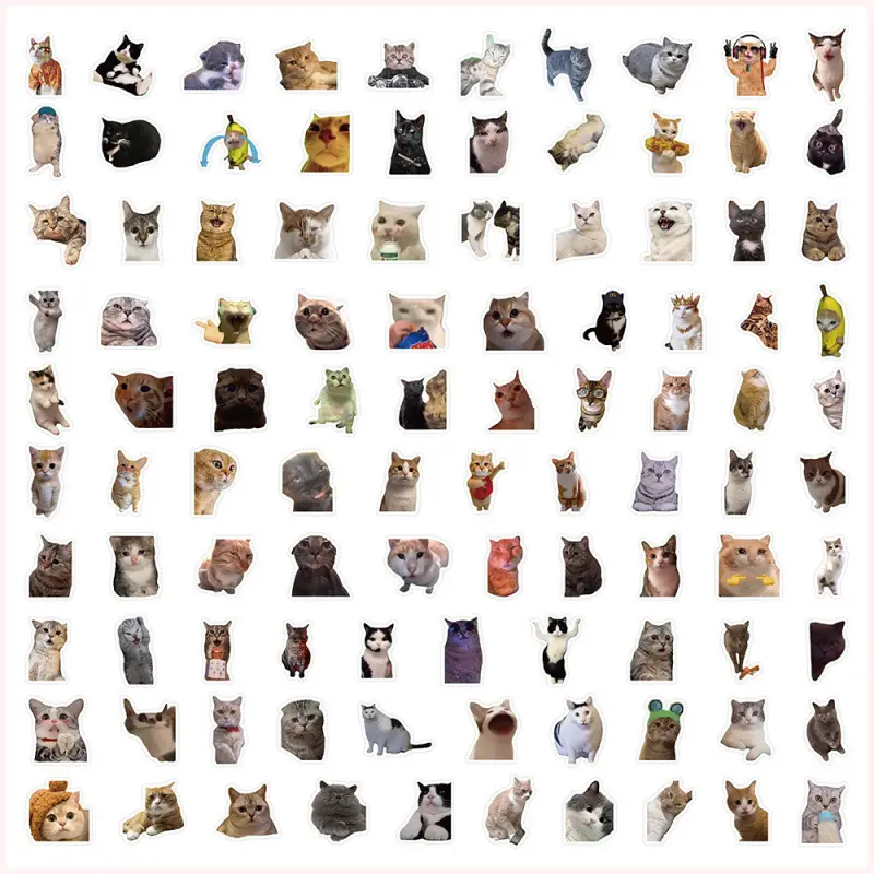 100 stickers*3 sets of duplicates+40other sticke