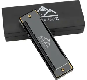 Blues Harmonica Mouth Organ 10 Hole C Key with Case, Diatonic Harmonica for Professional Player, Beginner, Students gifts, Adult, Friends, Gift Black