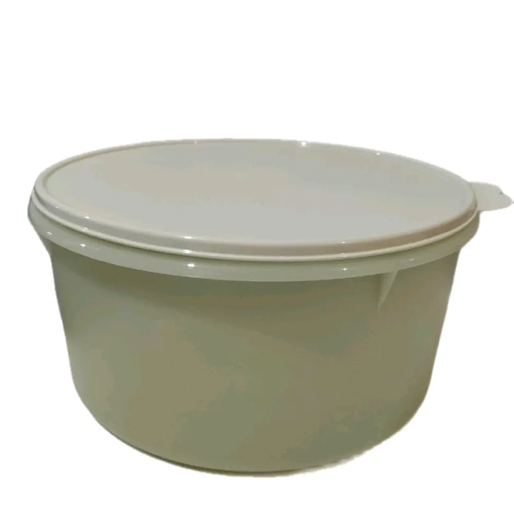 Mega Fridge Container storage container Mega Fridge Container storage container