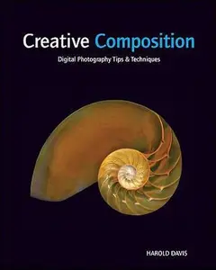 USED-Creative Composition: Digital Photography Tips and Techniques by Harold Davis (Paperback)