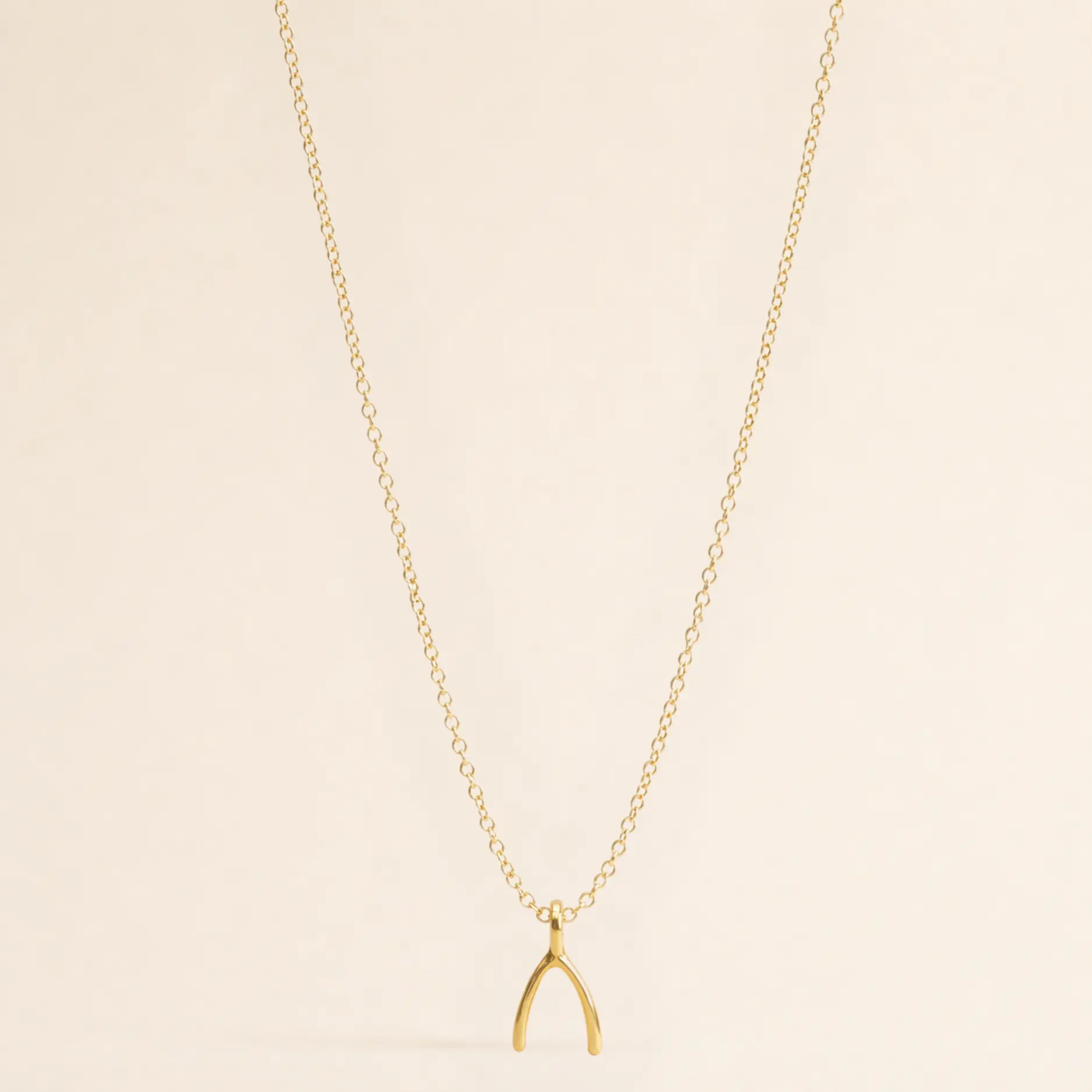 Classic Wishbone Necklace