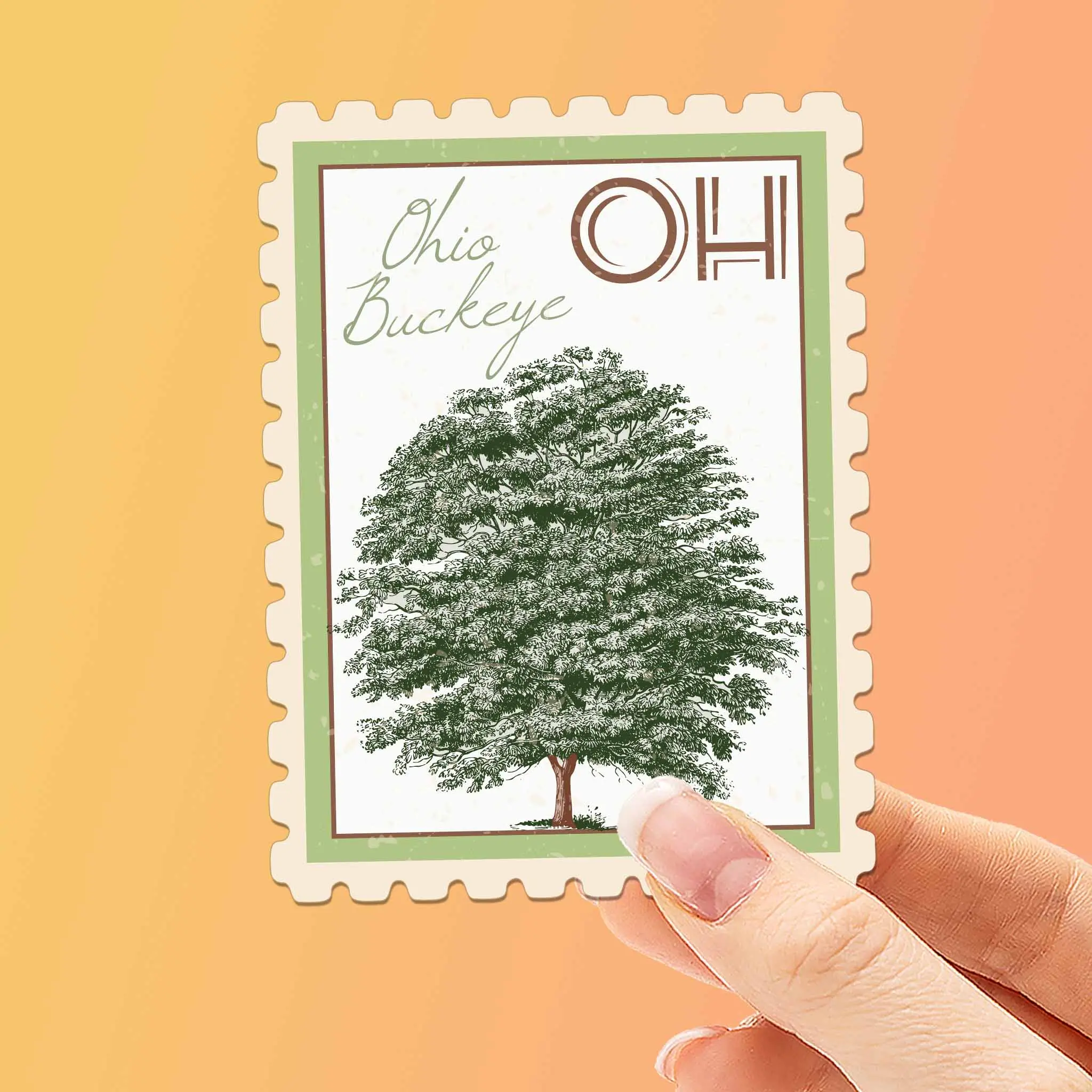 Ohio State Tree Buckeye Sticker - OH Vintage Stamp Decal