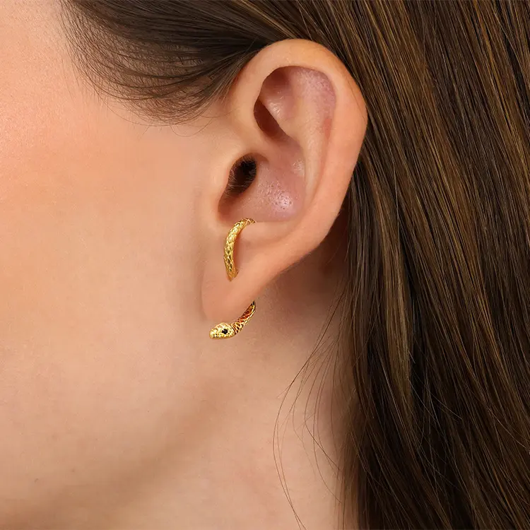 Snake-shaped earrings for women, exaggerated and fashionable wearable design animal earrings