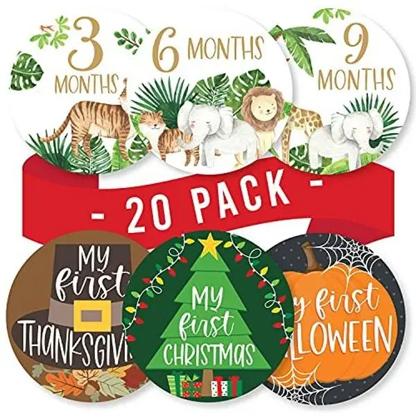 Baby Milestone Stickers | Set of 20 | Baby Supplies Sticky Back Photo Crafting Kit