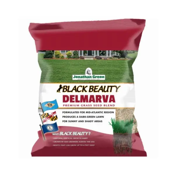 212 MAIN Jonathan Green & Sons Black Beauty Delmarva Mix Tall Fescue Grass Seed, 7 lbs Pack, Sun/Shade Tolerant, Bagged for Home Garden Supplies