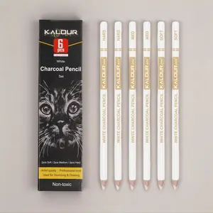 Professional Carbon Pencil Set for Art Drawing, Colorful Sketching Tools, High-Quality Artist Supplies for Artists & Beginners