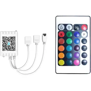 Remote Control for RGB LED Light Strips, 2 Ports 24 Key 4 Pin Output Dimmable LED Strip Lights  DC 12V(Without Power Adapter)