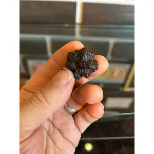 Prophecy stone  Prophecy stone 