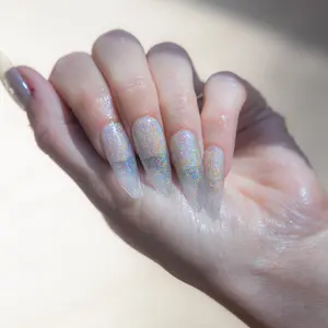 3H Luxury Handmade Press-on Nails - Lucid Prism