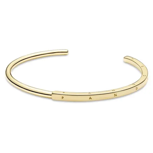 Pandora Signature ID Bangle 569493C00-3