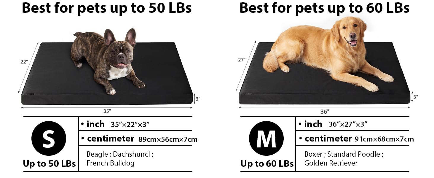 Orthopedic Dog Bed for Large Aggressive Chewers - Parachute Tough Striped Fabric, Chew-Resist. & Scratch-Resistant, 4" Joint Support Foam, Self-Cooling Modern Dog Mattress for Longevity
