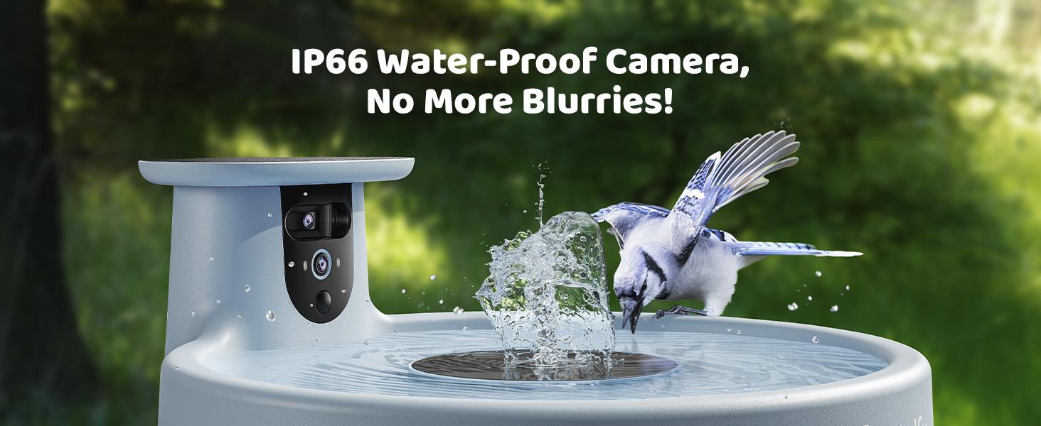 Birdfy Smart Bird Bath with Camera Solar Powered & Fountain, Dual-Lens Camera for Wildbird Watching, Auto Capture Bird Videos & Motion Detection, SummerVibes, Petlovers