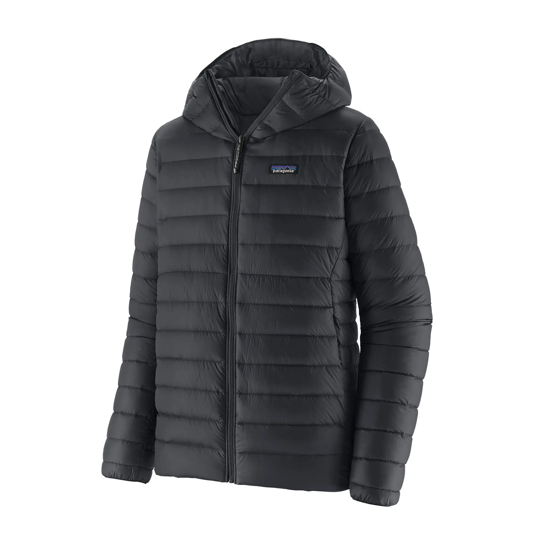 Patagonia  Men's Down Sweater™ Hoody