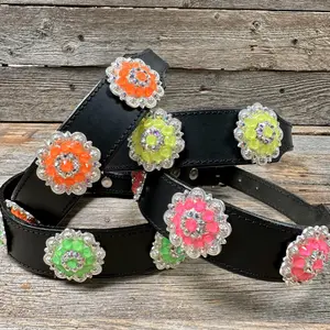 DC18- Neon Concho Dog Collar