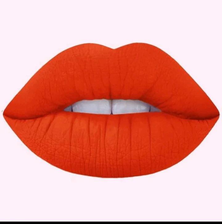 Leila Matte Lipstick – Long Lasting, Highly Pigmented & Smooth Soft Matte Finish | Smudge Proof Lip Color