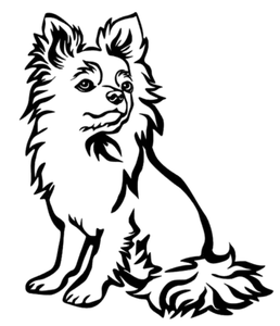 fluffy chihuaha dog pet long coat pomchi chorkie home decor car truck decorative vinyl decal sticker 5"