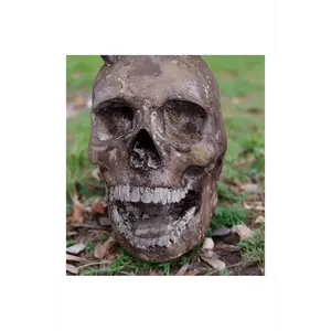 Foam Full Head Skull w/open mouth