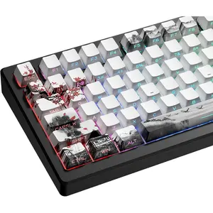 XVX PBT Keycaps - Side Print Keycaps, Shine Through Custom Keycaps 75 Percent, Retro Keycap Set Dye Sub and Double Shot, 128  Cherry Profile Keyboard Keycaps for Mechanical Keyboards, Plum Blossom