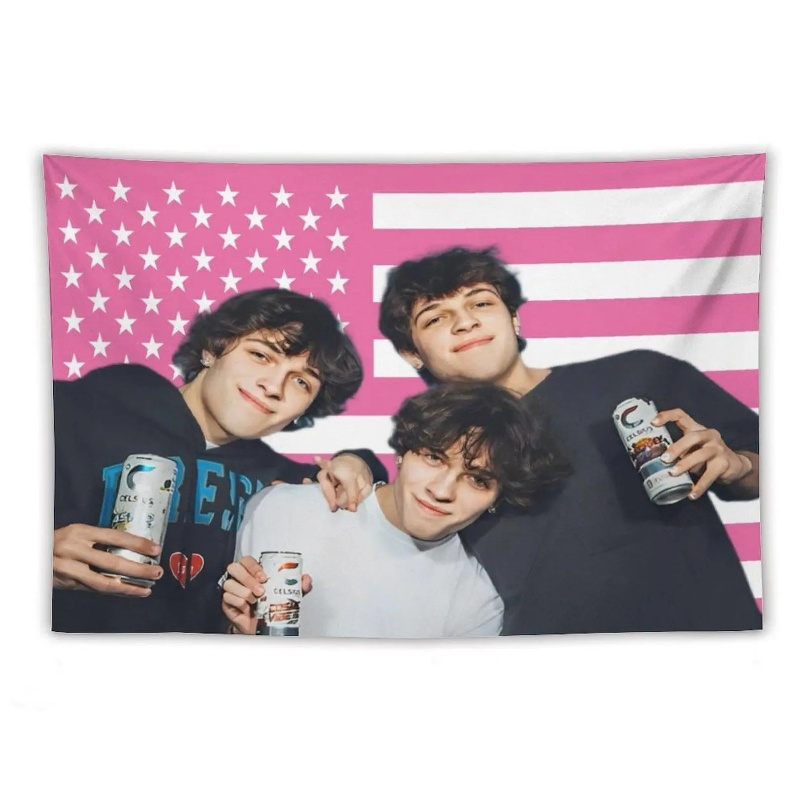 Sturniolo American Triplets Cotton-Linen Light Flag Tapestry - Pink Chris,Matt,Nick Sturniolo USA Indoor Wall Hanging Decoration for Bedroom,Living Room