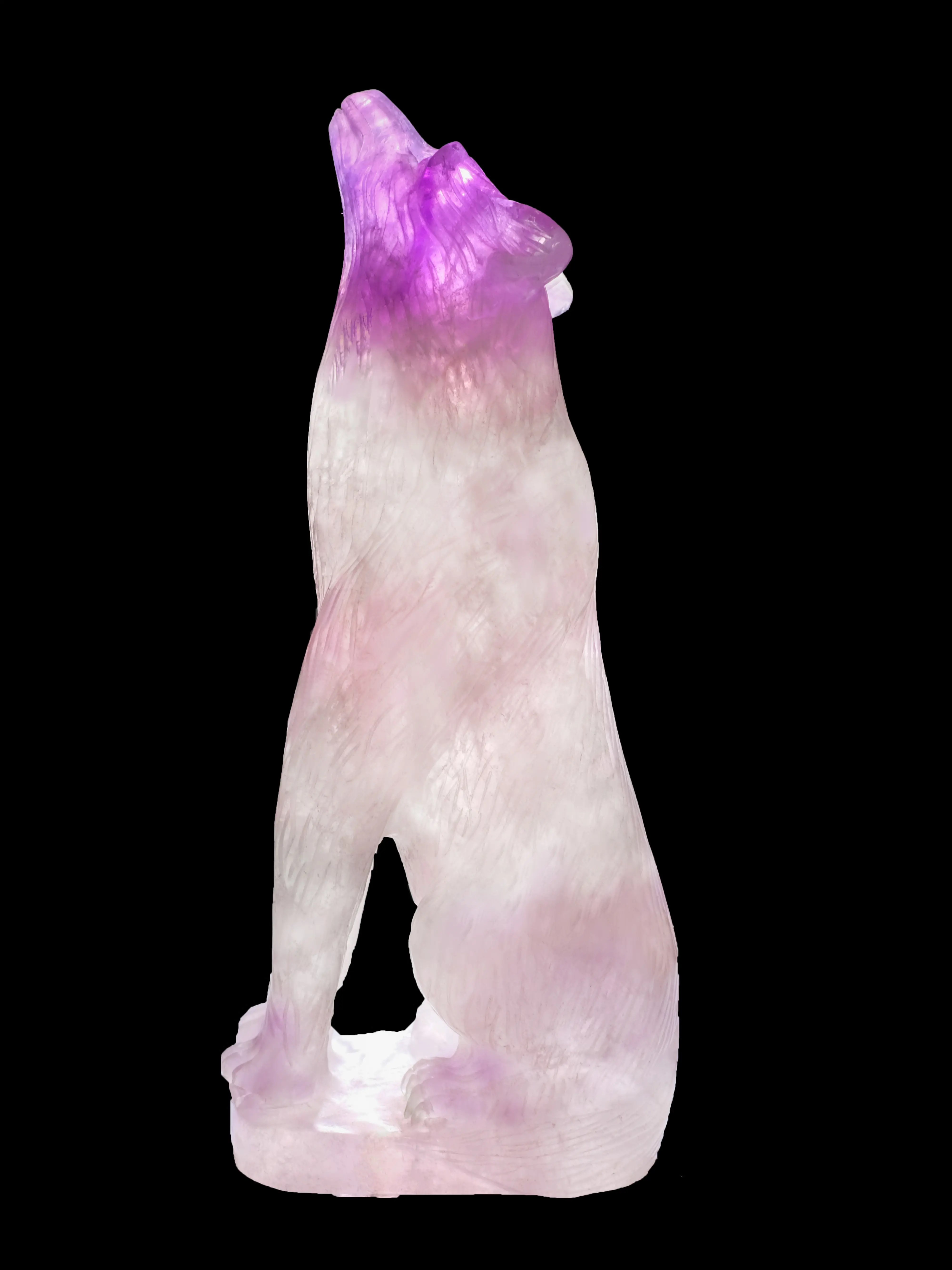 Purple Fluorite Violet Wolf King
