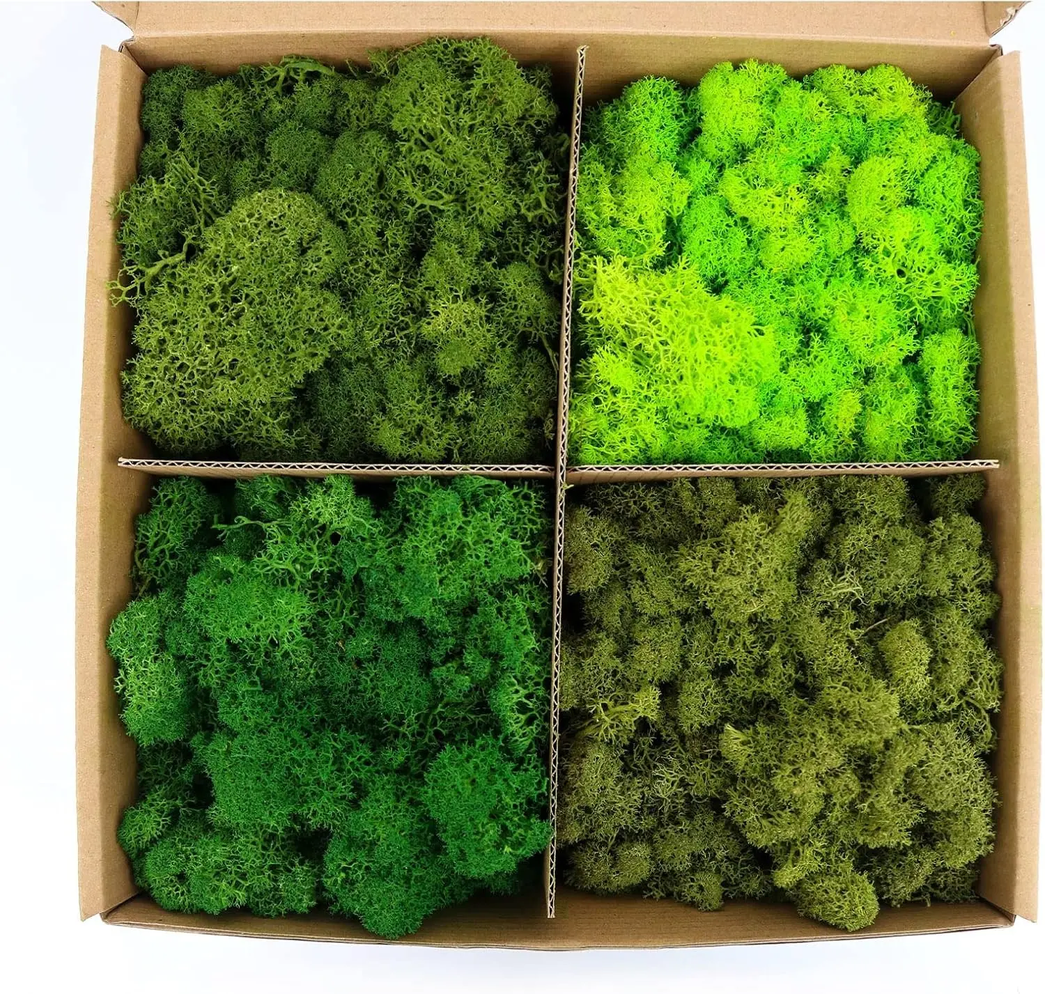 Preserved Moss 4 Color Reindeer Moss,Total 14OZ Each Color 3.5OZ, Natural Real Green Moss DIY Kit Moss Crafts Art Wall Decor Florist Decor Forest Green/Yellow Green/Leaves Green/Grass Gree