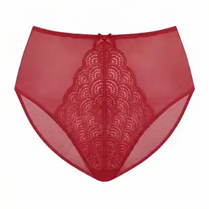 Mermaid Scales Lace Sheer Mesh Back High-Rise Brief Underwear Matching Panty