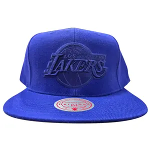 Mitchell & Ness Purple NBA Los Angeles Lakers Tonal Eclipse Snapback