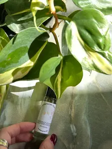 Pink Champagne - Perfume Oil