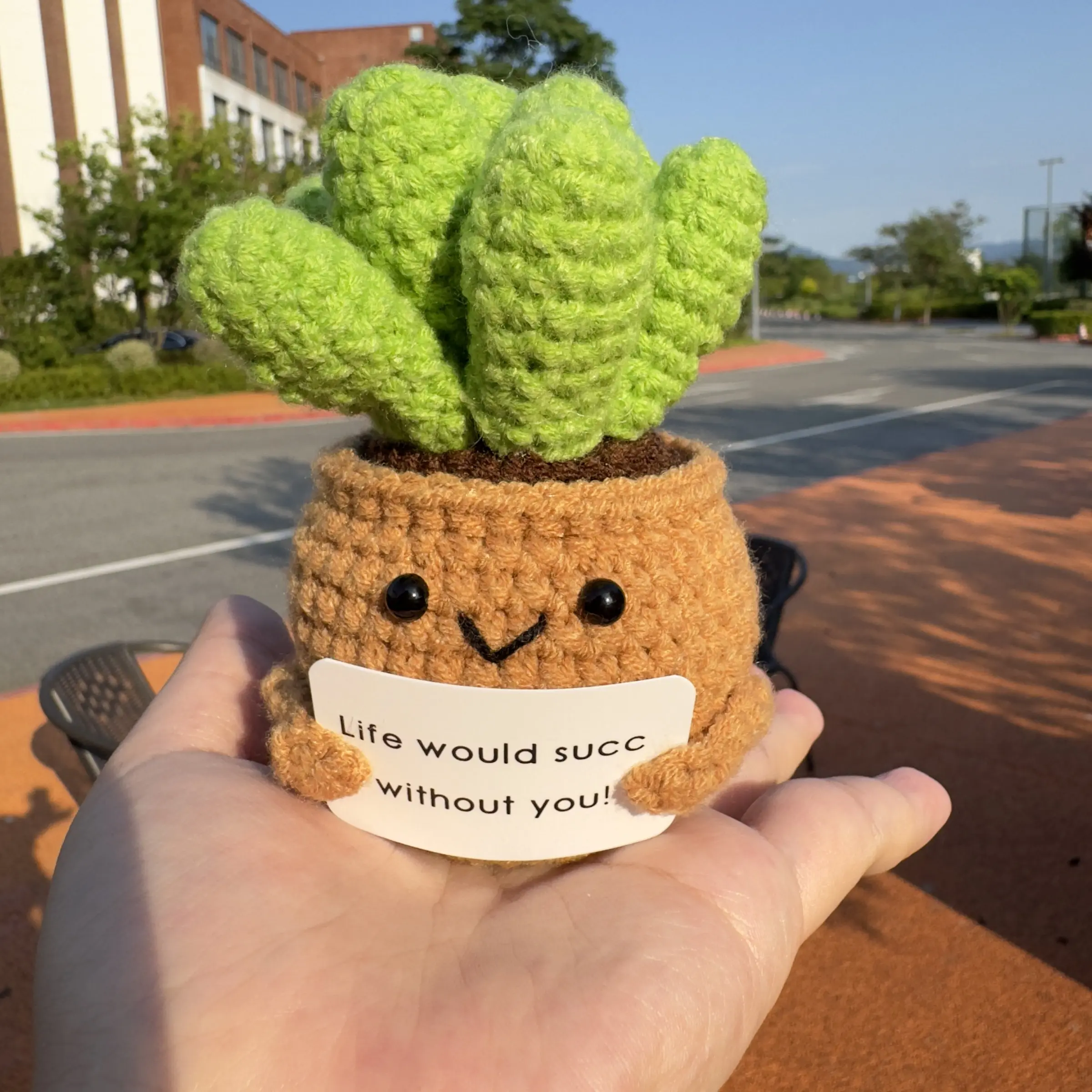 Cute Crochet Succulent Plant, Handmade Flower Decor, Emotional Support Gift for Mom Teacher, Home Office Desktop Decoration