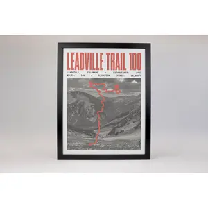 Leadville Trail 100 Endurance Run Poster