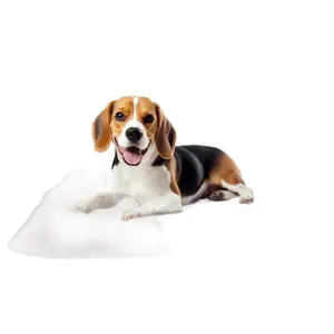 Self Warming Pet Mat