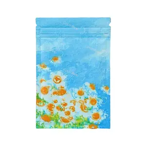 #CocoShop02 Glass Seed Beads Bags High-quality