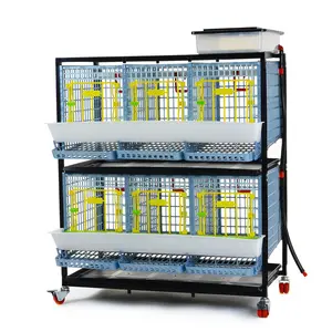 Chicken Cage - 2 Layer H: 15" - 2-Layer Poultry Cage (15" Height) for Safe and Secure Housing