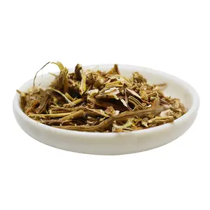 Sarsaparilla