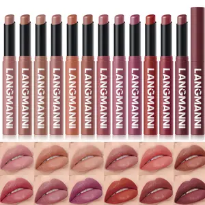 Lip Liner and Lipstick Set, Matte Finish, Moisturizing, Soft Touch, Plumping, Waterproof, Suitable for All Skin Types, Single Item, Makeup, Cosmetic
