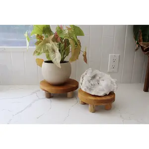 Small Plant Stand - Indoor Display for Windowsill & Herb Pots