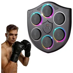 Boxing Machine for Adults, Wall Mounted  Punching Trainer, Interactive Boxing Target for  Fitness
