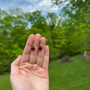 Lady Bug Handmade Dangle Clay Earrings with Red Accents and Simple Design