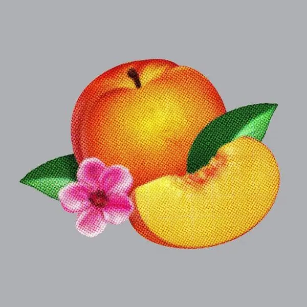 Phoenix - Bankrupt! (Limited)  [COMPACT DISC - CD] Deluxe Ed