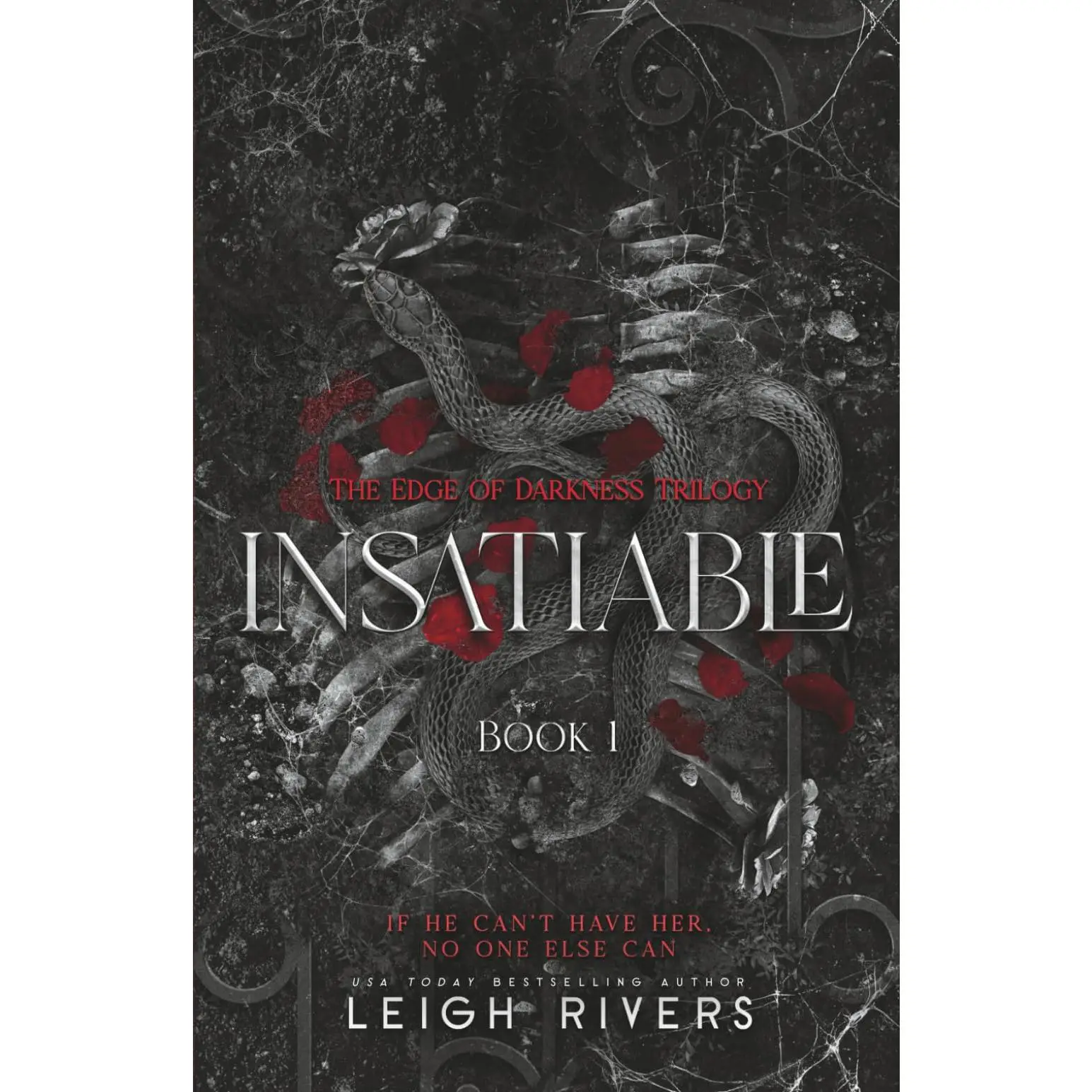 Insatiable (The Edge of Darkness: Book 1) -- Leigh Rivers - Paperback