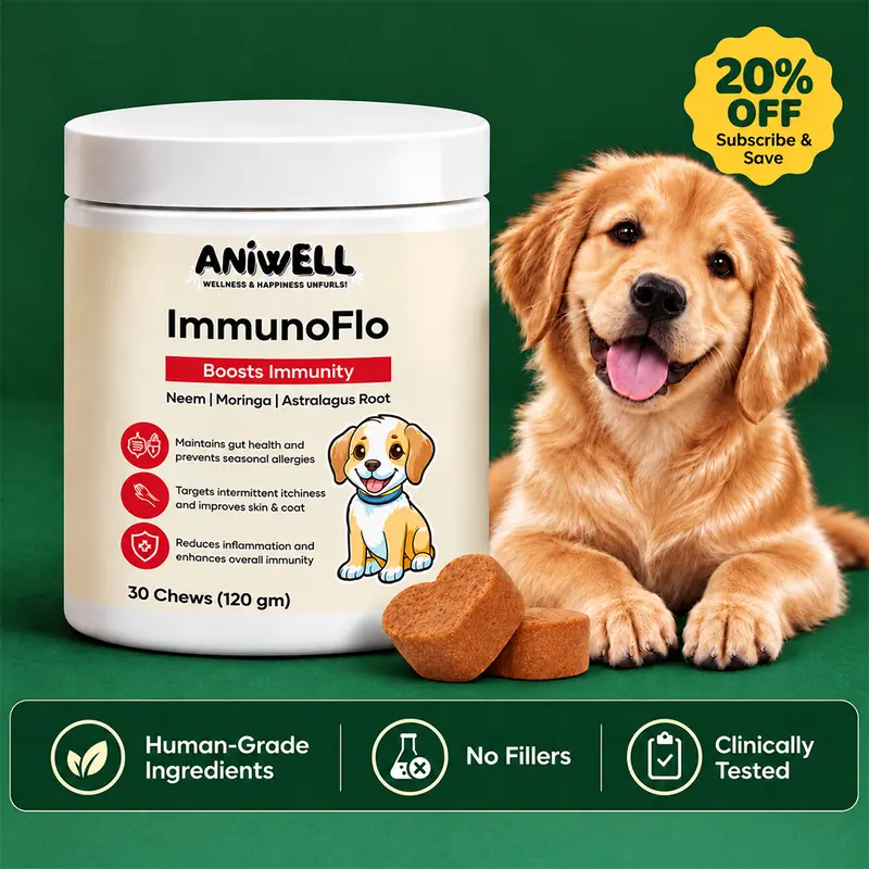 Aniwell ImmunoFlo: Natural Health Supplement for Dogs