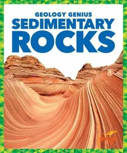 USED-Sedimentary Rocks by Pettiford, Rebecca (Library Binding)