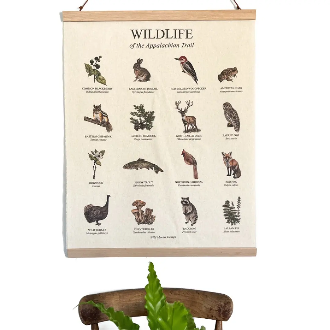 Canvas Hanging Wall Art of the Appalachian Trail