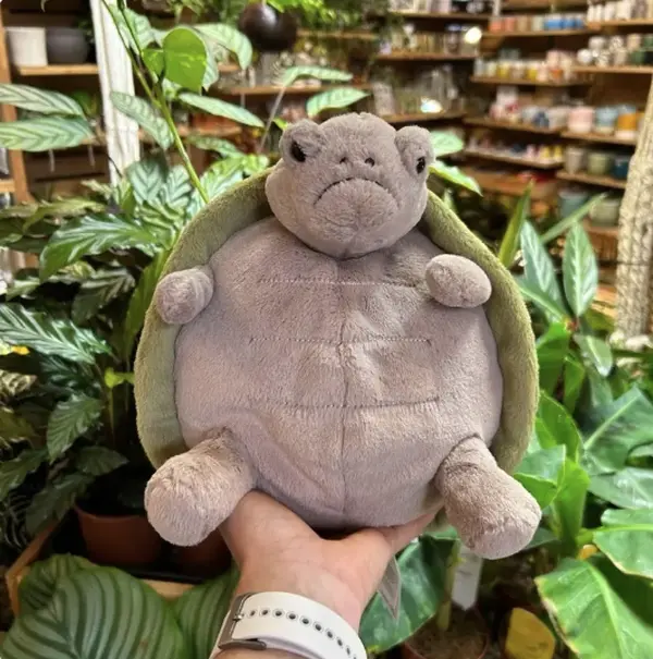 Jellycat Moody Turtle Plush Soft Companion for Cozy Spaces and Collectors