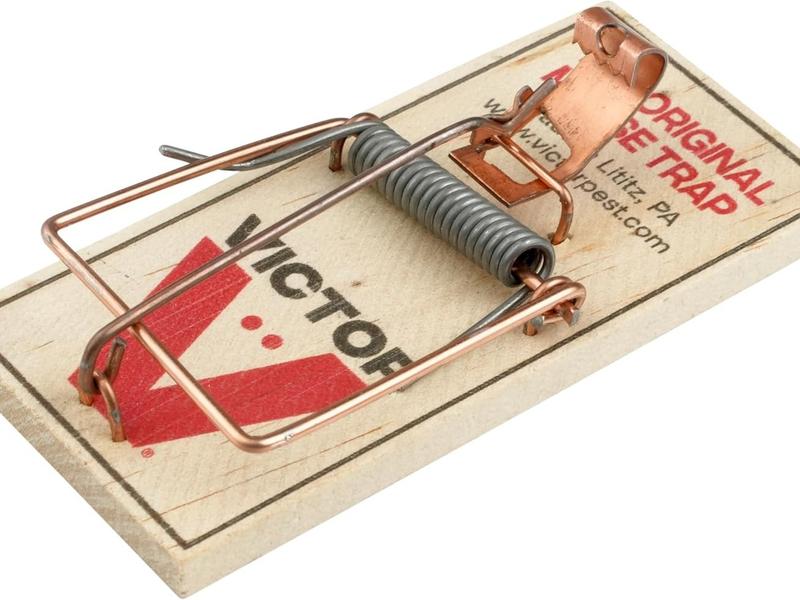 Victor Mouse Traps M150-12, Metal Pedal, Sustainably Sourced FSC Wood, Wooden Mouse Traps, 12 Metal Pedal Traps