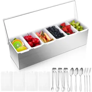 1 Pack Stainless Chilled Condiment Server 6 Removable Slot Toppings Containers with Lid and Bottom Ice Bar Garnish Tray with 9 Silverwares 4 Ice Boxes for Christmas, Events and Bar