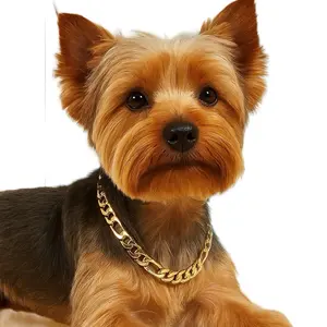 Gold Dog Chain Collar for Small & Medium Pet Cat Dog Pups Stylish and Durable Design