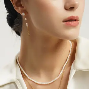 SparklyFresh P Earrings Elegant Hight Quality